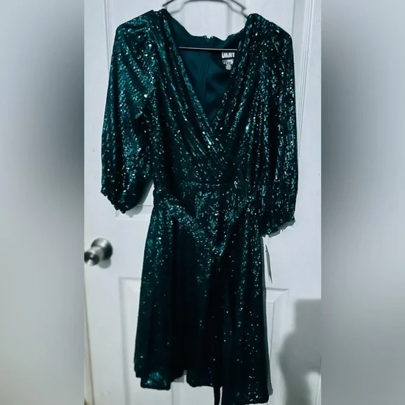green emerald velvet dress Amazon.com: DKNY Sequin Side Ruched Dress Emerald 4 : Clothing, Shoes &  Jewelry main image 1